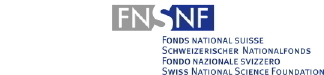 Logo SNF